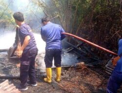 Karhutla di Kabupaten Benteng Meningkat, Upaya Damkar Terkendala Sarpras
