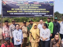 Polsek Padang Jaya Hadiri Giat Penanaman Perdana Jagung Hibrida untuk Meningkatkan Ketahanan Pangan