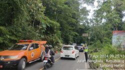 Dapati Laporan Dari Masyarakat Terkait Adanya Pohon Tumbang, Satlantas Polres Kepahiang Datangi dan Evakuasi Pohon Tumbang